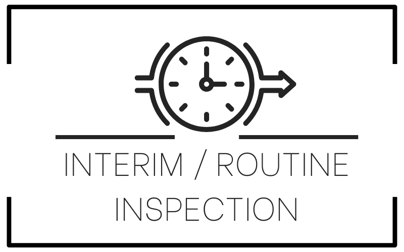 Interim Routine Inspection